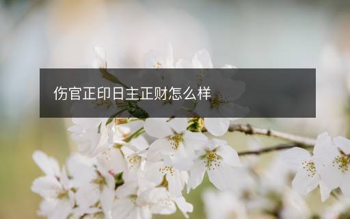 伤官正印日主正财怎么样