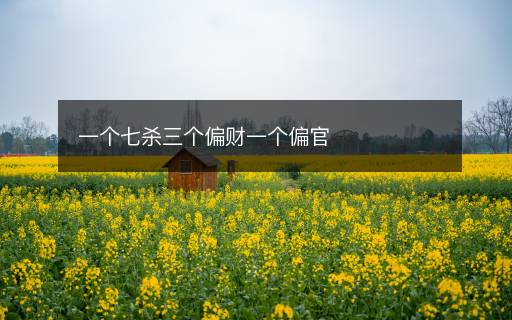 一个七杀三个偏财一个偏官