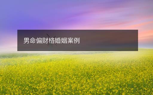 男命偏财格婚姻案例