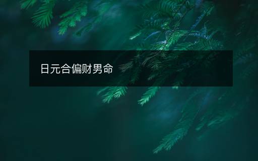 日元合偏财男命