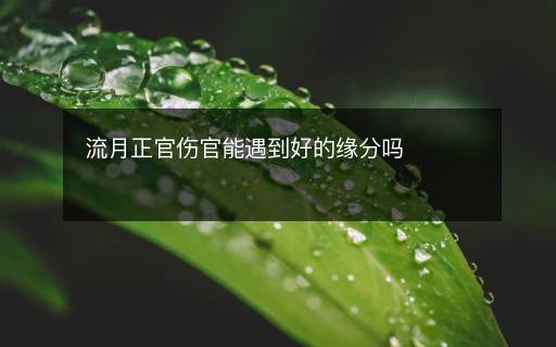 流月正官伤官能遇到好的缘分吗