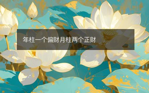 年柱一个偏财月柱两个正财