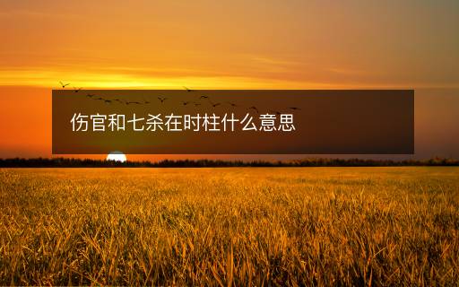 伤官和七杀在时柱什么意思 伤官和七杀在时柱什么意思