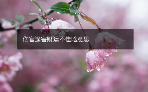 伤官逢害财运不佳啥意思