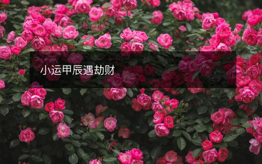 小运甲辰遇劫财 小运甲辰遇劫财