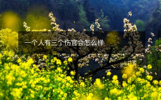 一个人有三个伤官会怎么样