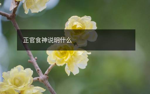 正官食神说明什么