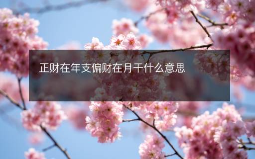 正财在年支偏财在月干什么意思