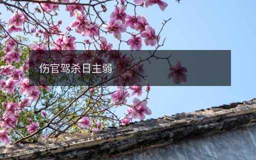 伤官驾杀日主弱