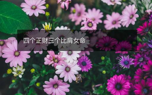 四个正财三个比肩女命