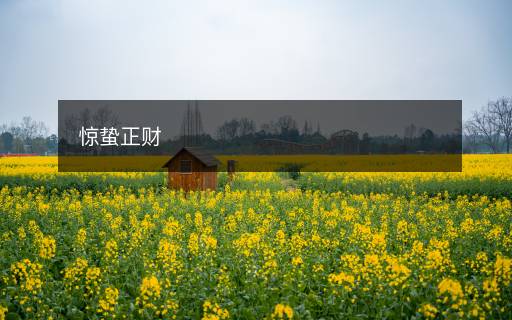 惊蛰正财