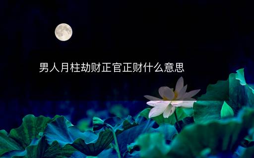 男人月柱劫财正官正财什么意思