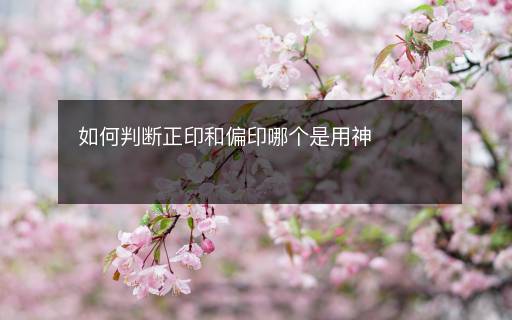如何判断正印和偏印哪个是用神