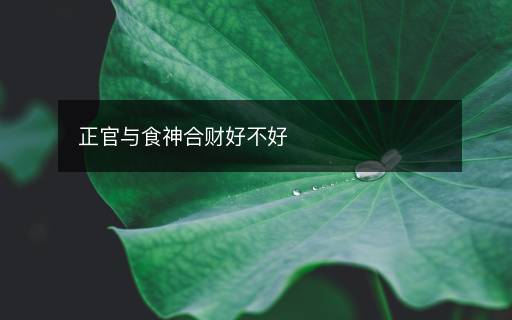 正官与食神合财好不好