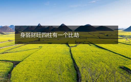 身弱财旺四柱有一个比劫 身弱财旺四柱有一个比劫