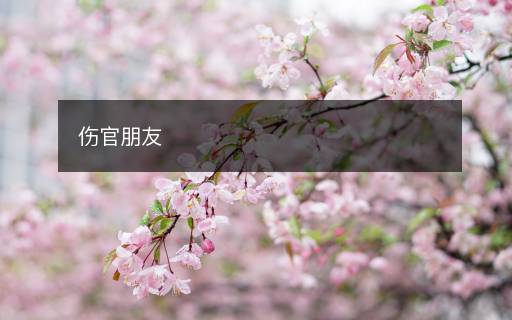 伤官朋友 伤官朋友