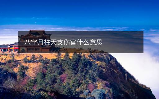 八字月柱天支伤官什么意思