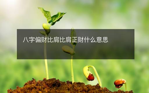 八字偏财比肩比肩正财什么意思