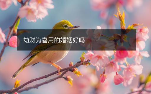 劫财为喜用的婚姻好吗