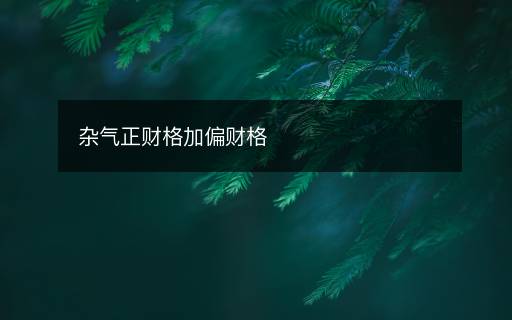 杂气正财格加偏财格