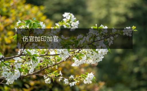 伤官加印加官