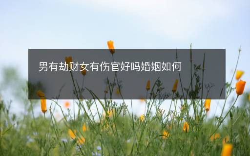 男有劫财女有伤官好吗婚姻如何