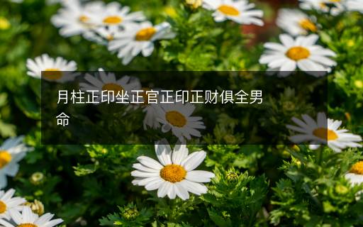 月柱正印坐正官正印正财俱全男命
