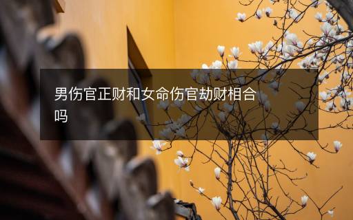 男伤官正财和女命伤官劫财相合吗