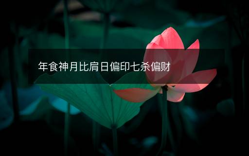 年食神月比肩日偏印七杀偏财
