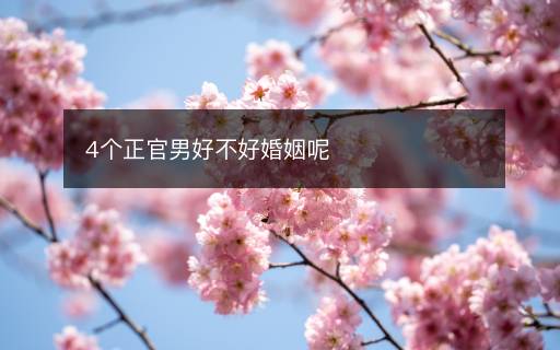 4个正官男好不好婚姻呢