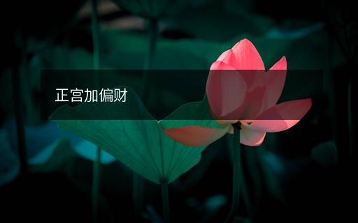正宫加偏财