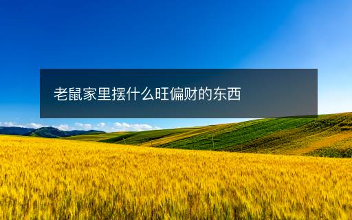 老鼠家里摆什么旺偏财的东西