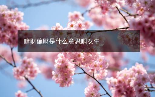 暗财偏财是什么意思啊女生