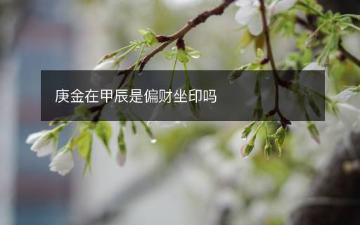 庚金在甲辰是偏财坐印吗