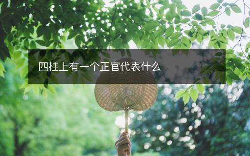 四柱上有一个正官代表什么 四柱上有一个正官代表什么
