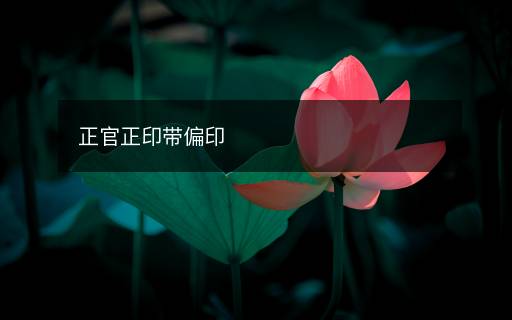 正官正印带偏印 正官正印带偏印
