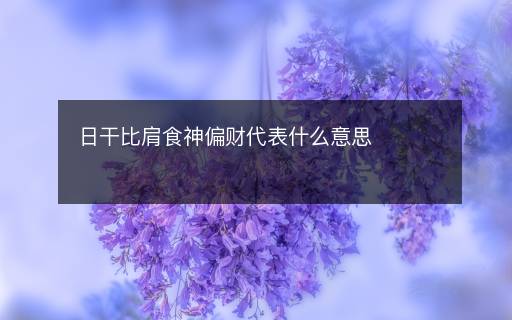 日干比肩食神偏财代表什么意思
