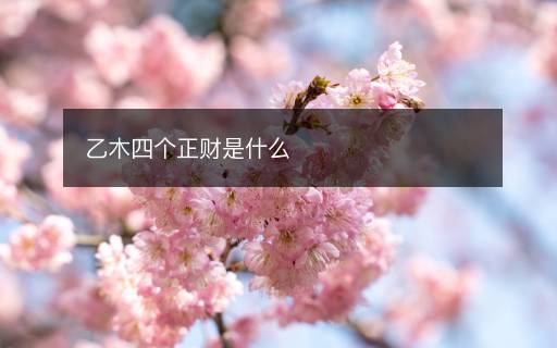 乙木四个正财是什么