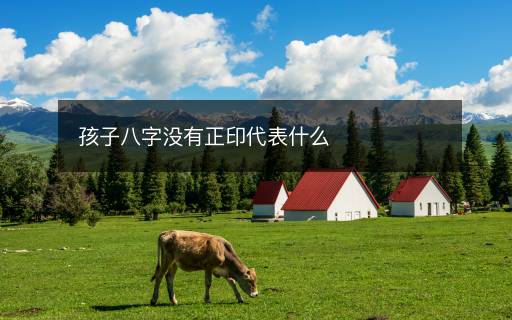 孩子八字没有正印代表什么