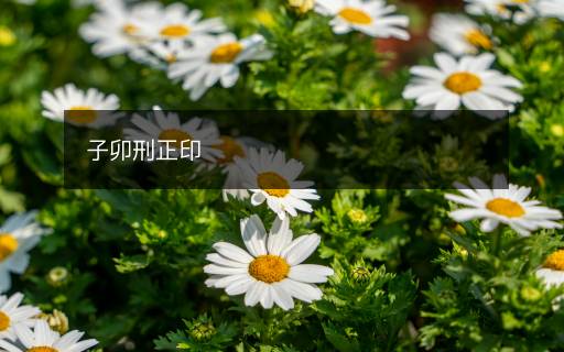 子卯刑正印