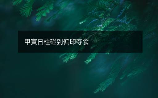 甲寅日柱碰到偏印夺食 甲寅日柱碰到偏印夺食