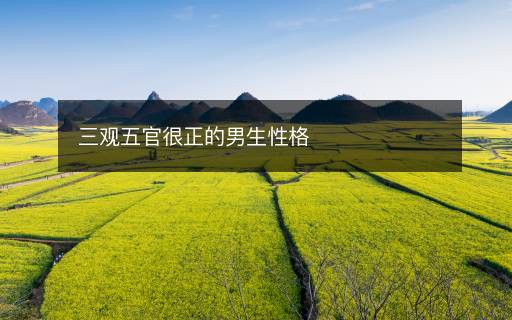 三观五官很正的男生性格