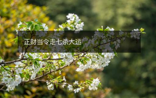 正财当令走七杀大运