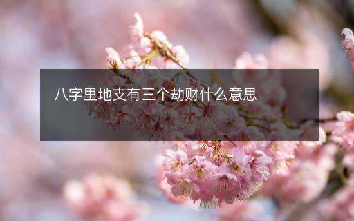 八字里地支有三个劫财什么意思