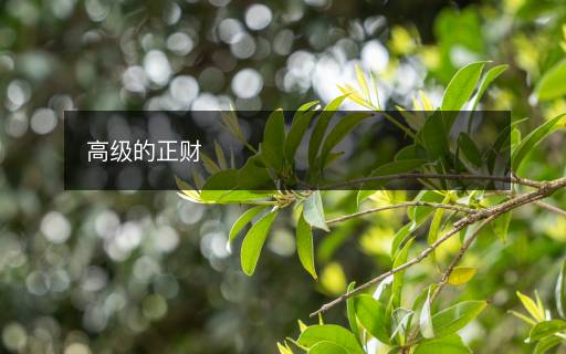 高级的正财
