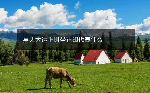 男人大运正财坐正印代表什么