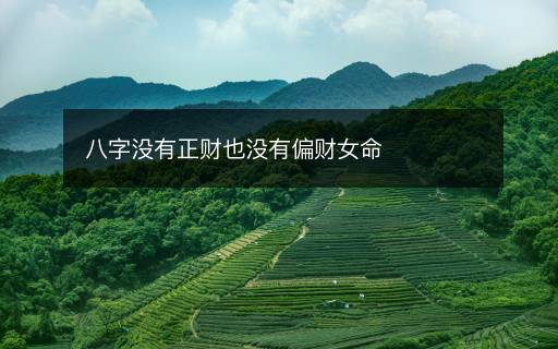 八字没有正财也没有偏财女命