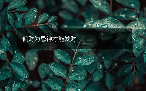 偏财为忌神才能发财