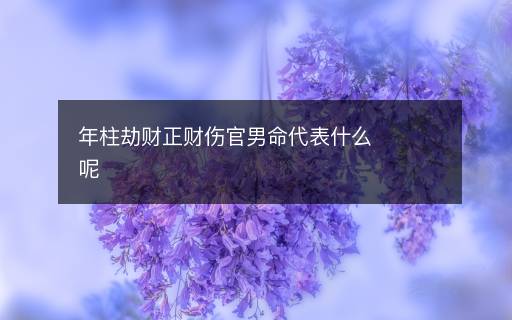 年柱劫财正财伤官男命代表什么呢