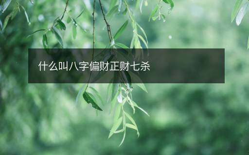什么叫八字偏财正财七杀